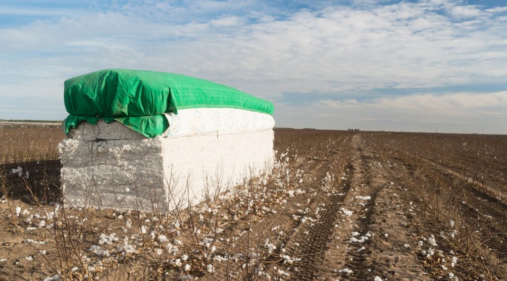 Fresh Bail Harvest Cotton Farm Field Texas Agriculture